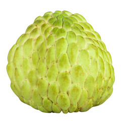 Sugar apple or custard apple, whole ripe exotic tropical fruit isolated on a transparent background