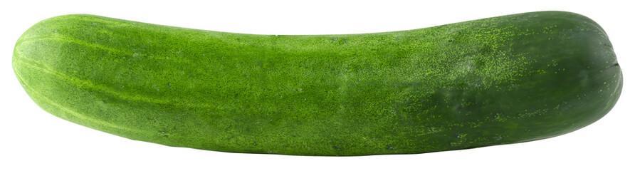 Green cucumber isolated on a transparent background.