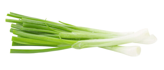 Green onion isolated on a transparent background.