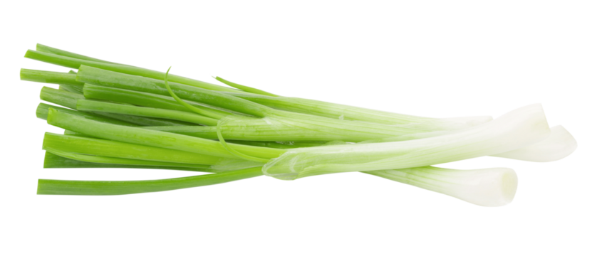 Green onion isolated on a transparent background.