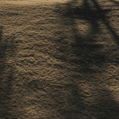 green grass in the field 