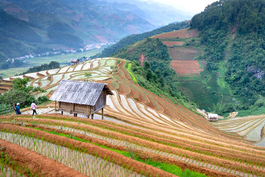 Curved lines of Terraced rice field during the watering season at the time before starting to grow rice in Lao Chai, Mu Cang Chai, VN
