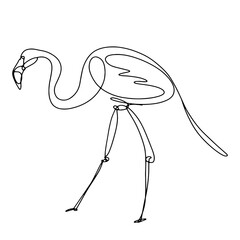 beautiful hand drawn flamingo illustration can be used for wall decoration, tattoo, printing and more