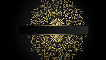 Mandala background vector