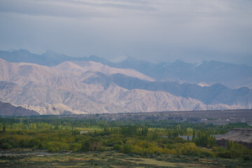 Beautiful landscape with greenery in a village, the background is surrounded by mountains at Leh town, Ladakh, in the Indian Himalayas.