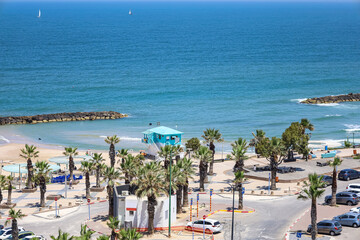 View of beautiful sea coast with palm trees and cars