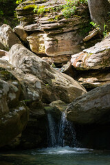 stream in the forest