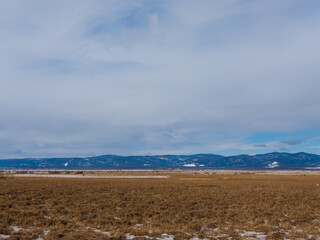 Winter snowcapped mountains covered with pine tree forest, yellow grass meadow with snow, clear blue sky Background