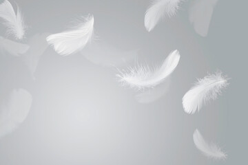 Abstract White Bird Feathers Falling in The Air. Feathers Floating in Heavenly	