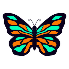 Butterfly illustration cartoon cute