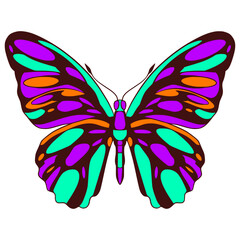 Butterfly illustration cartoon cute