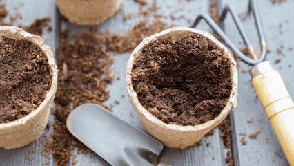 Close up of hand in yellow glove planting a seed in eco friendly biodegradable peat pots, top view,...