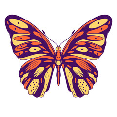 Butterfly illustration cartoon cute