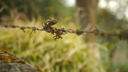 Rustic Fence Close-up: Weathered Barbed Wire Against Natural Background