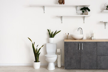Fototapeta premium Interior of bathroom with sink, toilet bowl and shelves