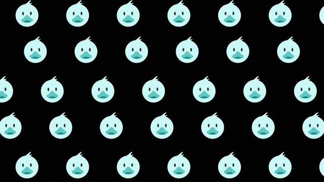 A cute duck head  animated pattern design motional texture wallpaper background cartoon face character black background Animals animation