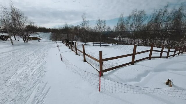 Fpv aerial photography of horses in winter, horses in the paddock in winter
