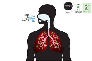 The impact of air pollution with PM 2.5 microns on the human lungs. 