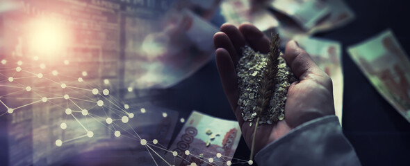 The concept of the cost of grain. 5000 ruble banknotes around a handful of ground grain. World...