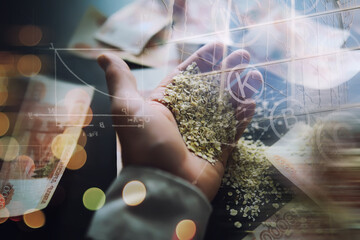 The concept of the cost of grain. 5000 ruble banknotes around a handful of ground grain. World...