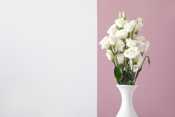Vase with beautiful eustoma flowers near color wall