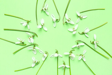 Frame made of beautiful snowdrops on green background