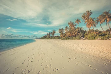  Summer exotic sandy beach with pastel colors palm trees sea waves. Retro vintage landscape shore, idyllic soft sunset. Tranquil serene lagoon bay, dream calming nature view. Exotic travel wallpaper © icemanphotos