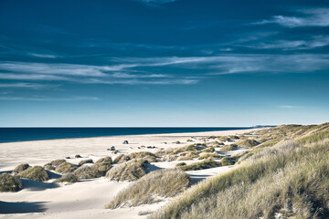 Fototapeta na wymiar White beach in Denmark. High quality photo