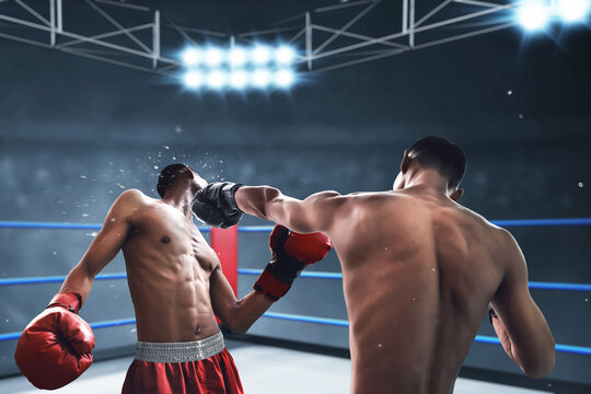 Two boxer on the ring, sport theme
