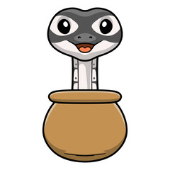 Cute axanthic ball python cartoon inside the sack