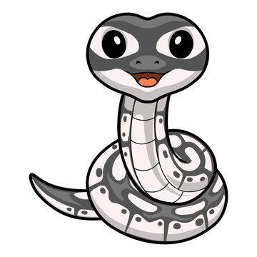 Cute axanthic ball python cartoon