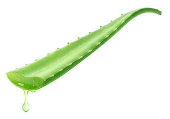 Aloe vera dripping