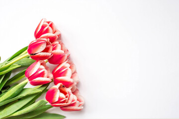 A bouquet of tulips on a white isolated background. The concept of the onset of spring and International Women's Day on March 8.