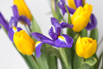 Naklejka premium A bouquet of yellow tulips and purple irises on a white isolated background. The concept of the onset of spring and International Women's Day on March 8.