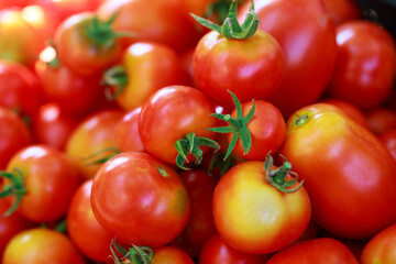 Delicious red tomatoes