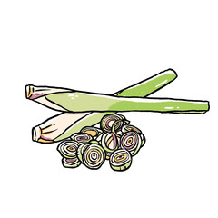 lemongrass doodle