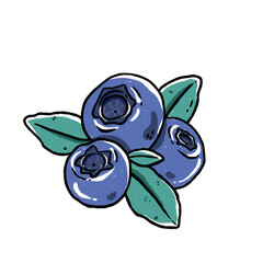 blueberry doodle