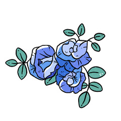 butterfly pea doodle