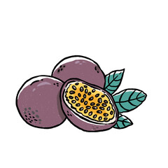 passion fruit doodle