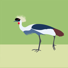 A bird with a feather on its head-vector artwork.