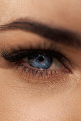 Female face with eyebrows, eyelashes and a blue beautiful eye, macro. Vision concept