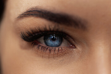 Obraz premium Female face with eyebrows, eyelashes and a blue beautiful eye, macro. Vision concept