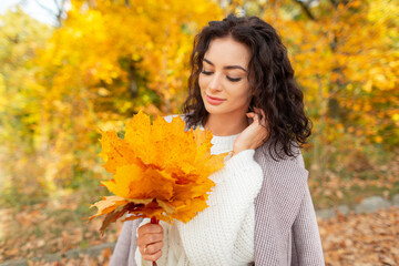 Cute beautiful brunette girl with a curly hairstyle in a fashionable knitted sweater with a coat holds a bouquet of bright yellow fall maple leaves and walks in the autumn park