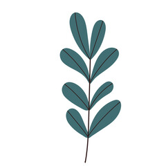 plants in flat style isolated vector