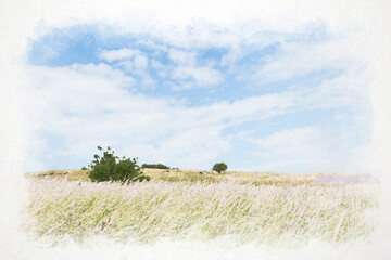 Digital watercolor painting of meadow full of hay on a sunny and windy day in Czech Republic. Textured paper background. Original image photographed also by me. © tuomaslehtinen