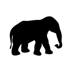 silhouette of elephant