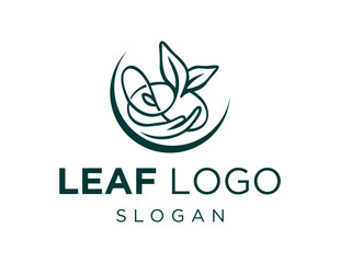 Logo about Leaf on a white background. created using the CorelDraw application.