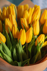 Beautiful yellow tulips. Spring flowers. Women's Day