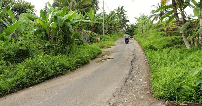 Tourist man ride motorbike at small rural road, wide angle shot. Asphalt have many potholes and damage, weathered or affected by water flows in rainy season. Bad condition of road surface at village