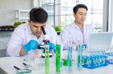 Asian professional male scientist researcher in white lab coat and rubber gloves sitting using microscope inspecting quality of vegetable in laboratory while colleague typing data in laptop computer